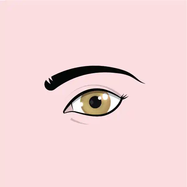 Illustration of an eye with defined brow and lashes on a pink background
